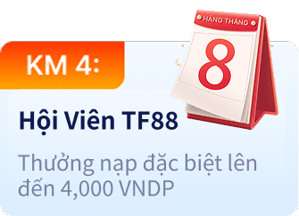 Ngày Hội VIP
